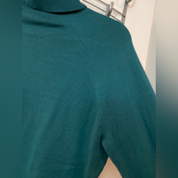 Banana Republic green merino wool turtleneck sweater size XL GUC - Picture 9 of 9